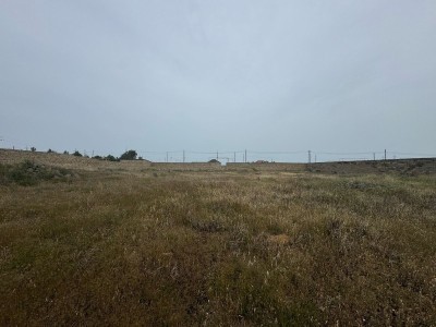 image 375760