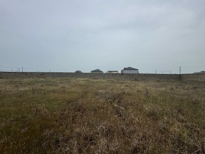 image 375760