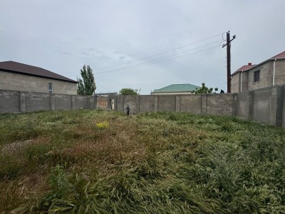 image 375774