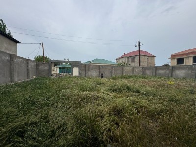 image 375774