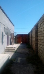 image 375777