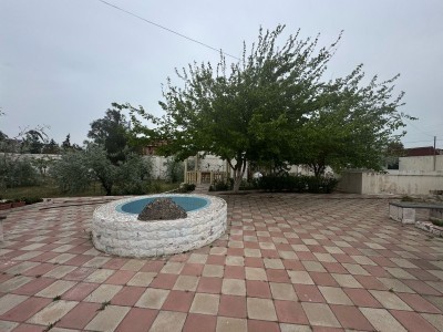 image 375801