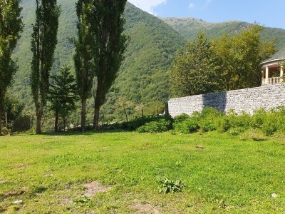 image 375865