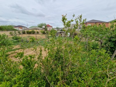image 375878