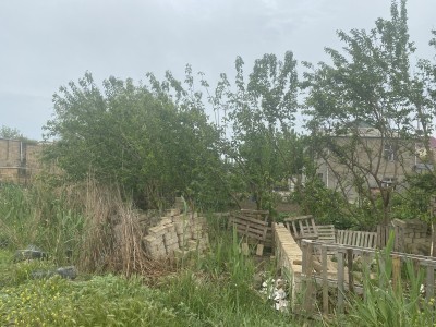 image 375889