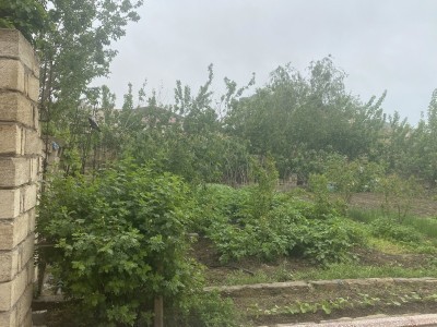image 375889
