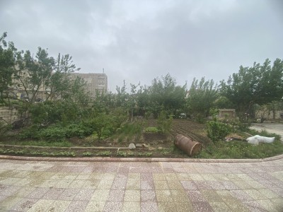 image 375889