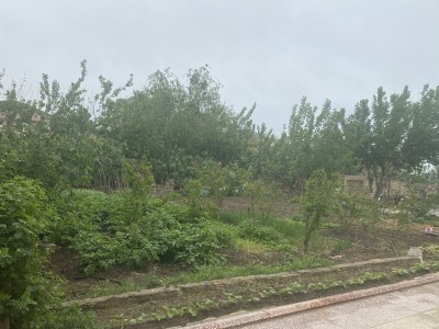 image 375889