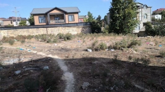 image 375891