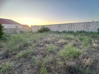 image 375961