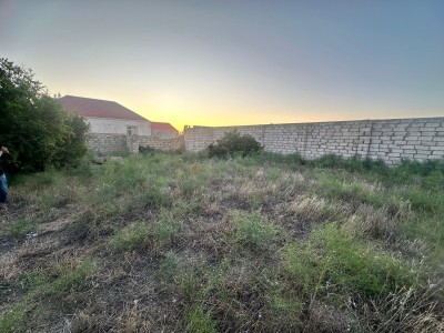 image 375961