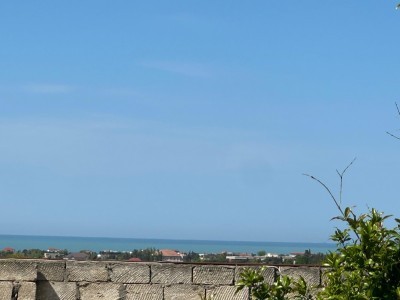 image 375961