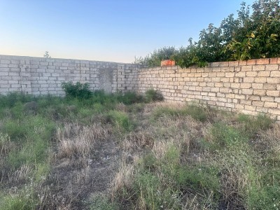 image 375961