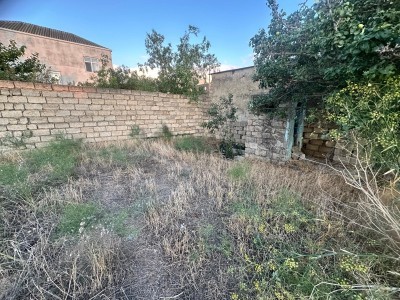 image 375961