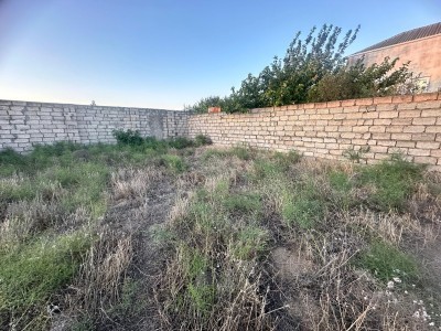 image 375961