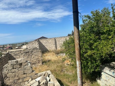 image 375961