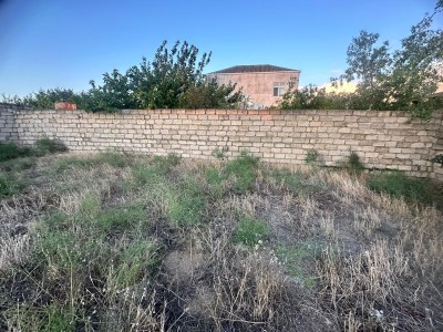 image 375961