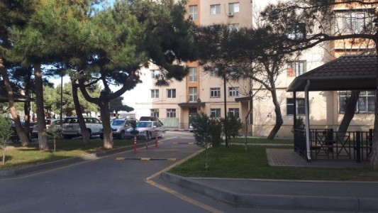 image 376138