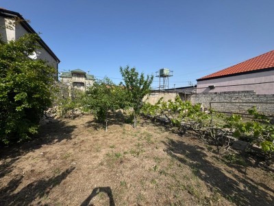 image 376139