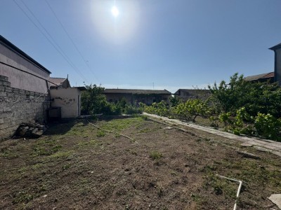 image 376139