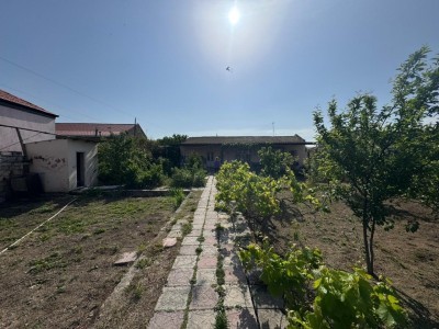 image 376139