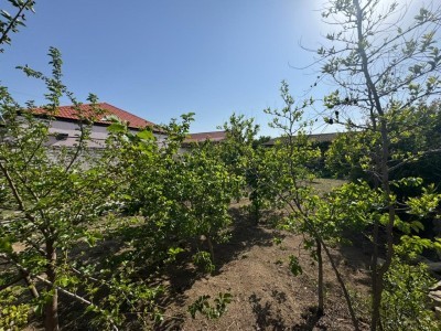 image 376139