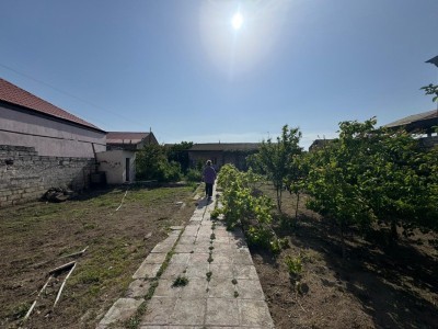image 376139