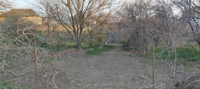 image 376147