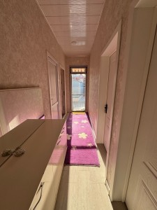 image 376169
