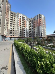image 376175
