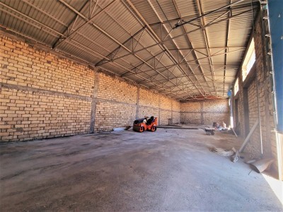 image 376220