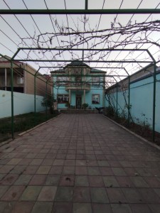 image 376231