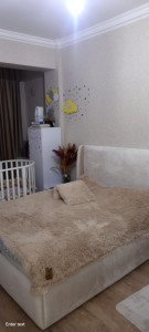 image 376240