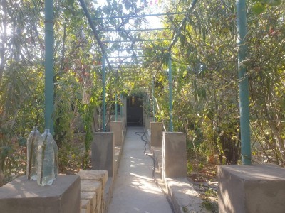 image 376241