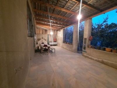 image 376241