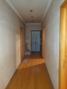 image 376241