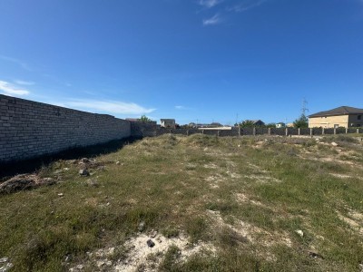 image 376300