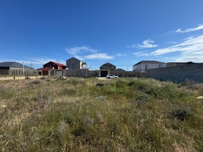 image 376300