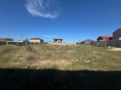 image 376300