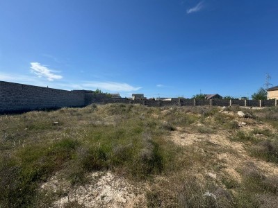 image 376300