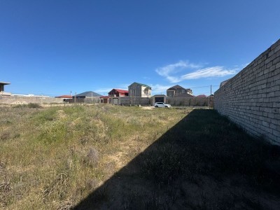 image 376300