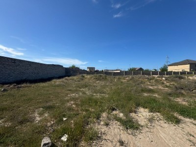 image 376300