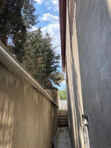 image 376303