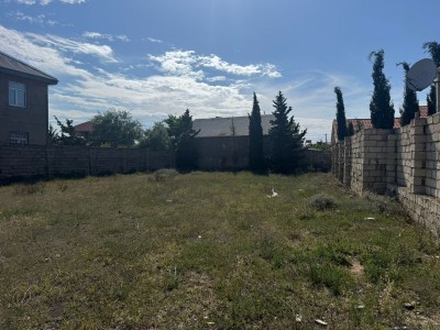 image 376309
