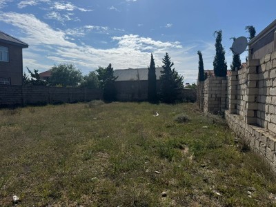 image 376309