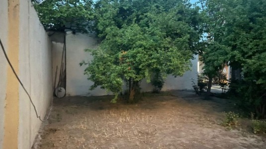 image 376334