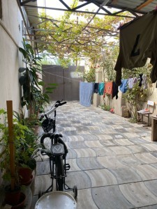 image 376346