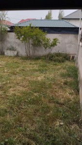 image 376363