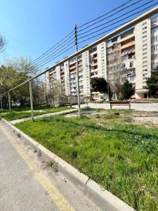 image 376382
