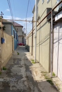 image 376388